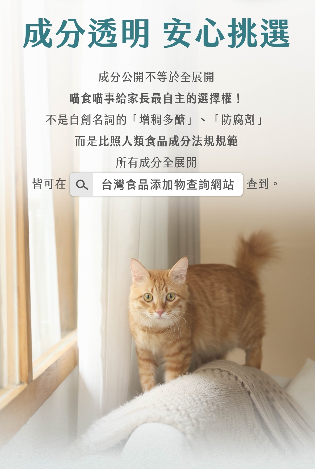 增稠劑是什麼喵食喵事健康版肉泥完全零添加