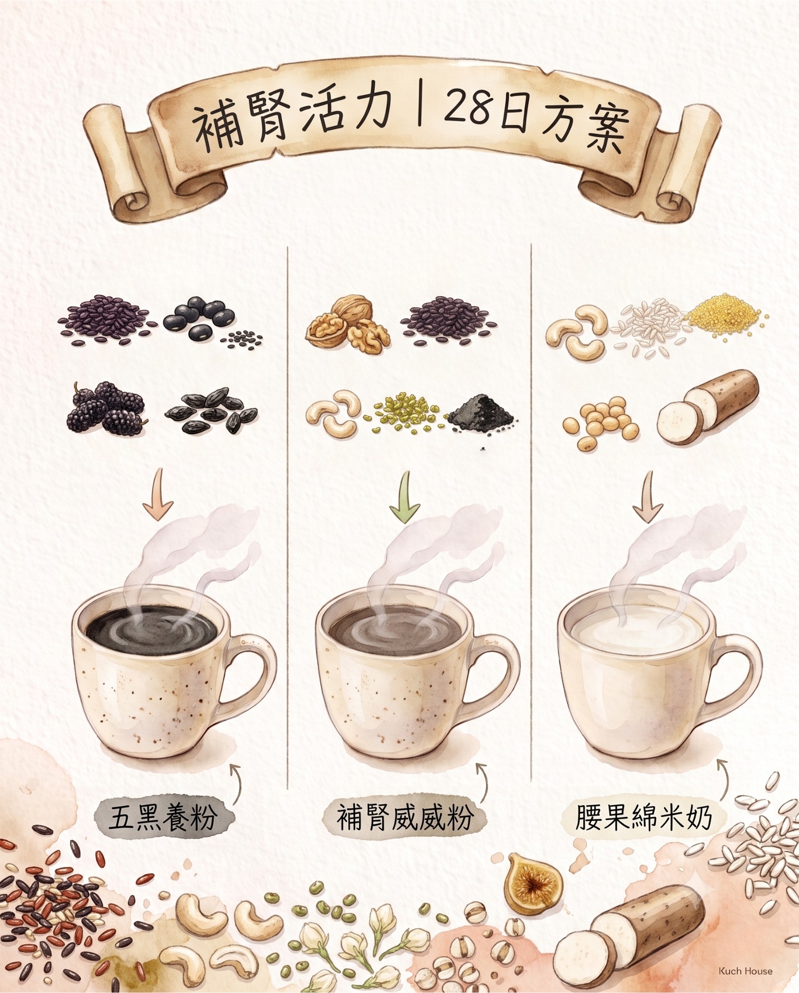 補腎活力｜28 日方案