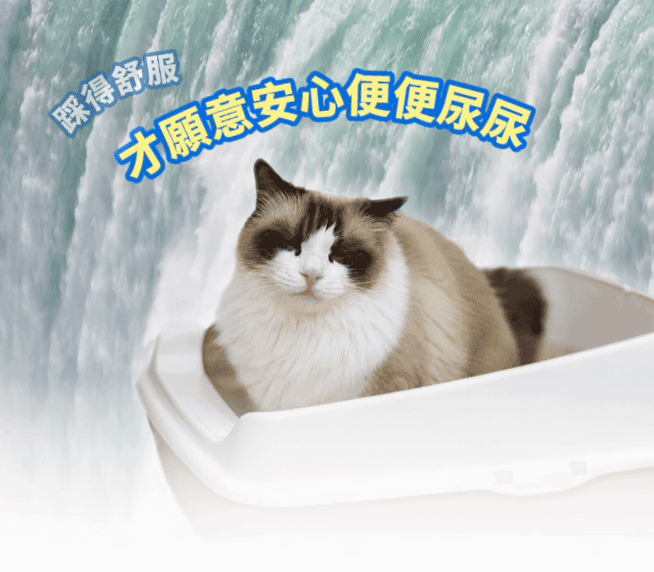 貓樂園| 無敵乾淨 生物酶木薯砂 2.5kg (木薯貓砂)