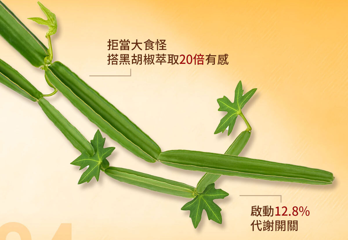 嚴萃生醫-懶人專利黑科技 一眠一寸-17
