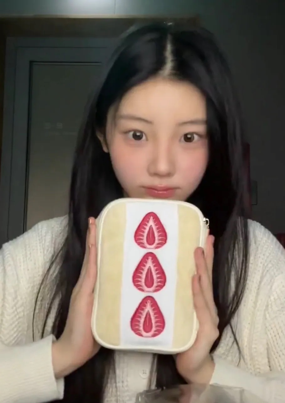 《預訂品》wonhee同款！KATZE Strawberry Sandwich