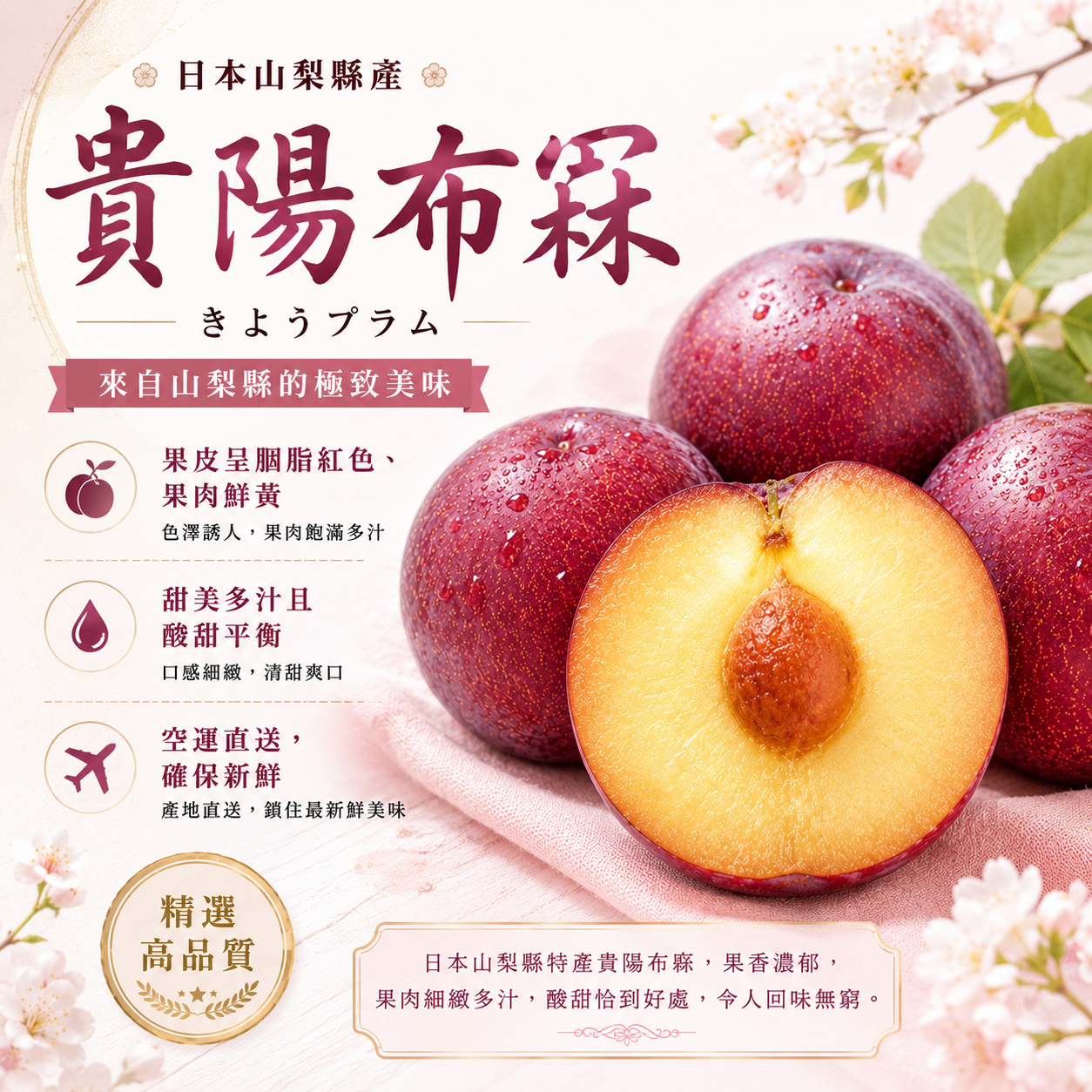 日本山梨縣貴陽布冧(2個)