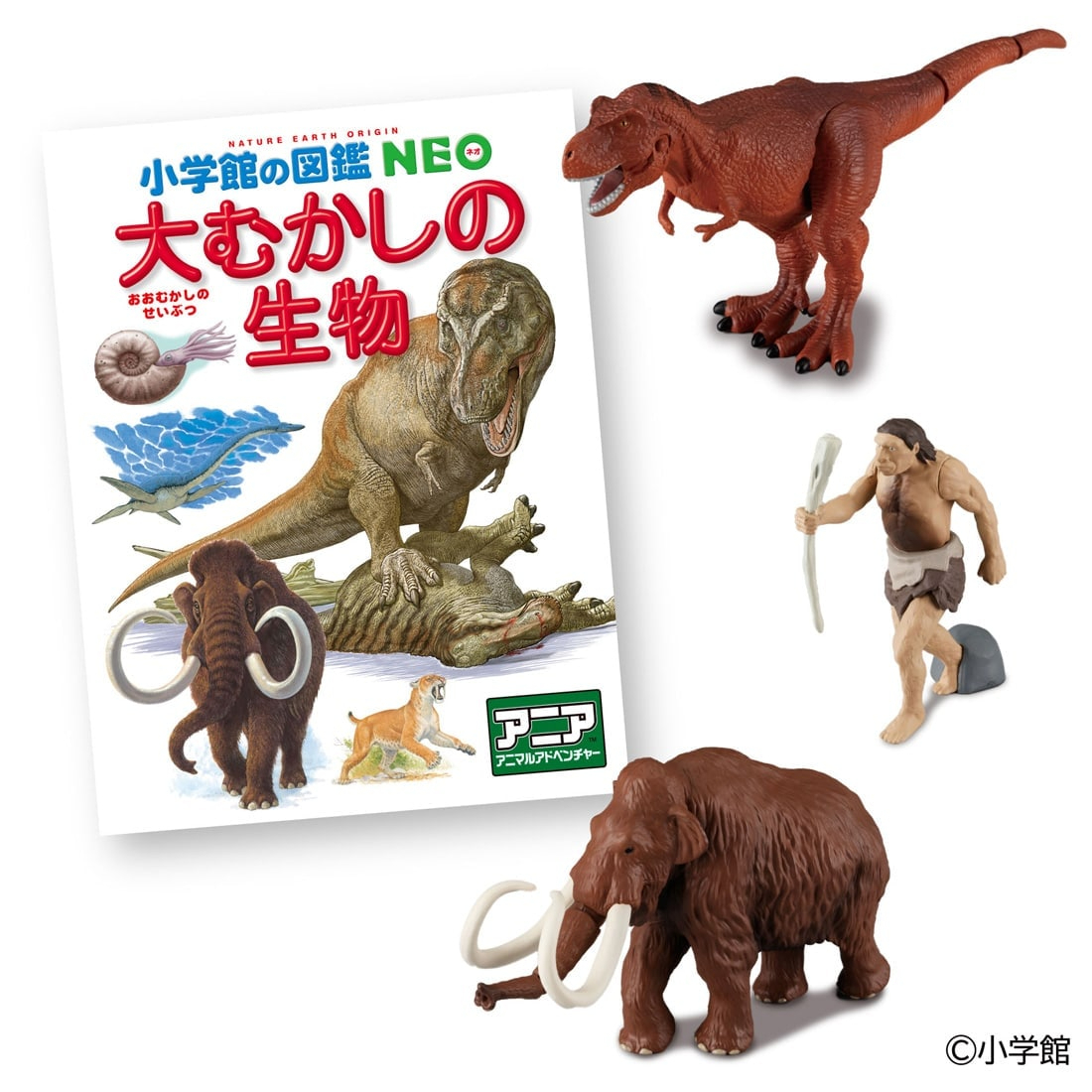 Takara Tomy ANIA 套裝 – 小學館 No Zukan NEO 附迷你手冊 生物篇