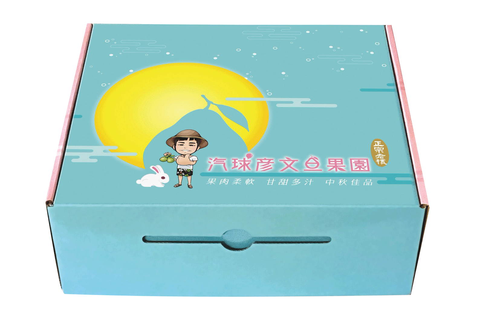 台南院｜頂級柚(5斤)