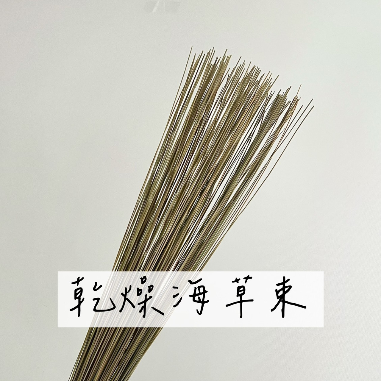 乾燥海草束