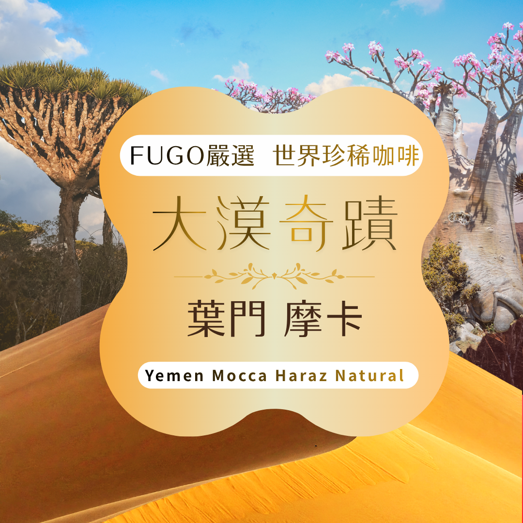 【FUGO嚴選】大漠奇蹟 葉門 摩卡 哈拉茲高山日曬