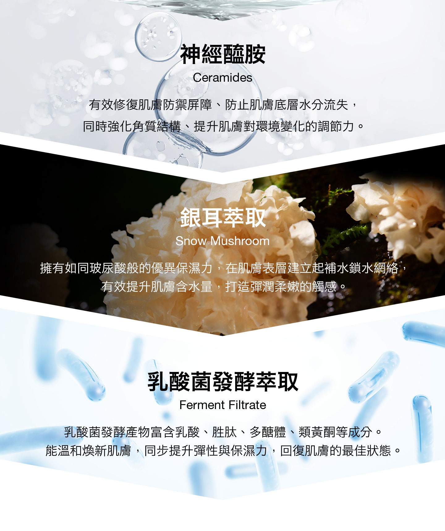 nomel 肌能賦活前導液 關鍵成分特寫說明圖