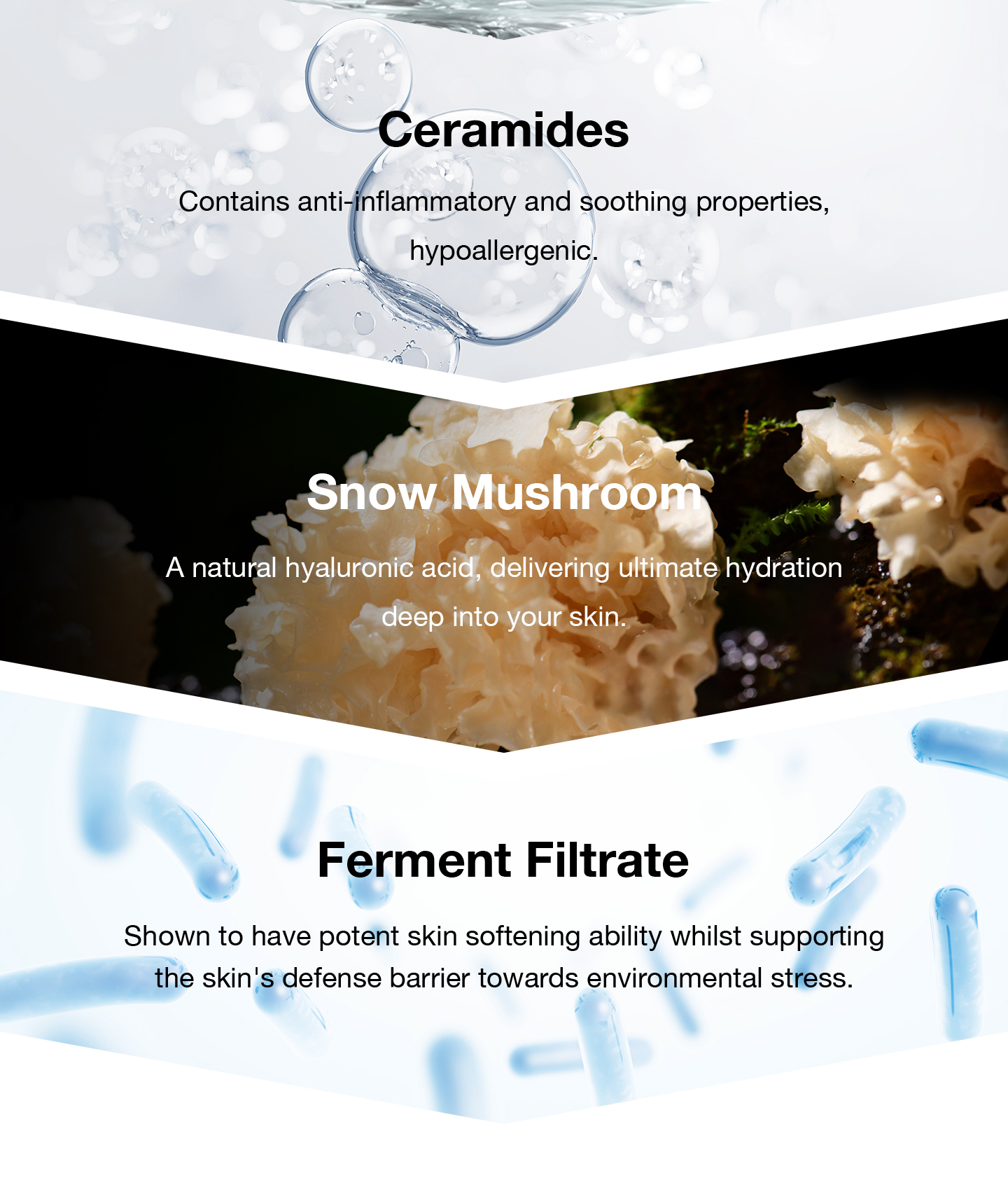 nomel Dermal Active Skin Conditioning Essence key ingredients close-up