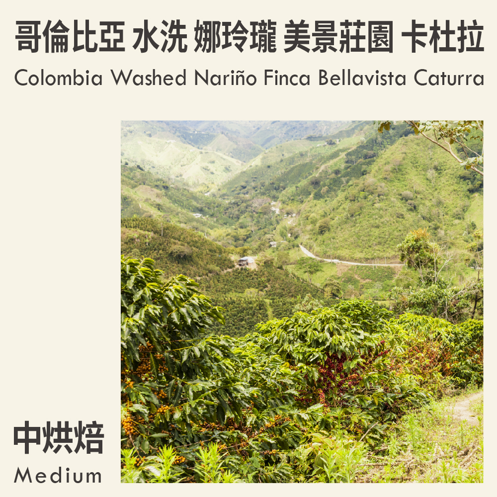哥倫比亞 水洗 娜玲瓏 美景莊園 卡杜拉
