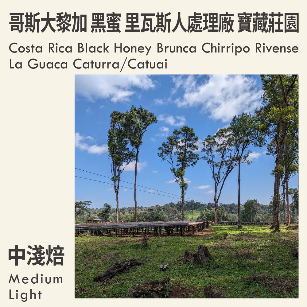 哥斯大黎加 黑蜜 布蘭卡 奇里波山谷 里瓦斯人處理廠 寶藏莊園 卡杜拉/卡杜艾