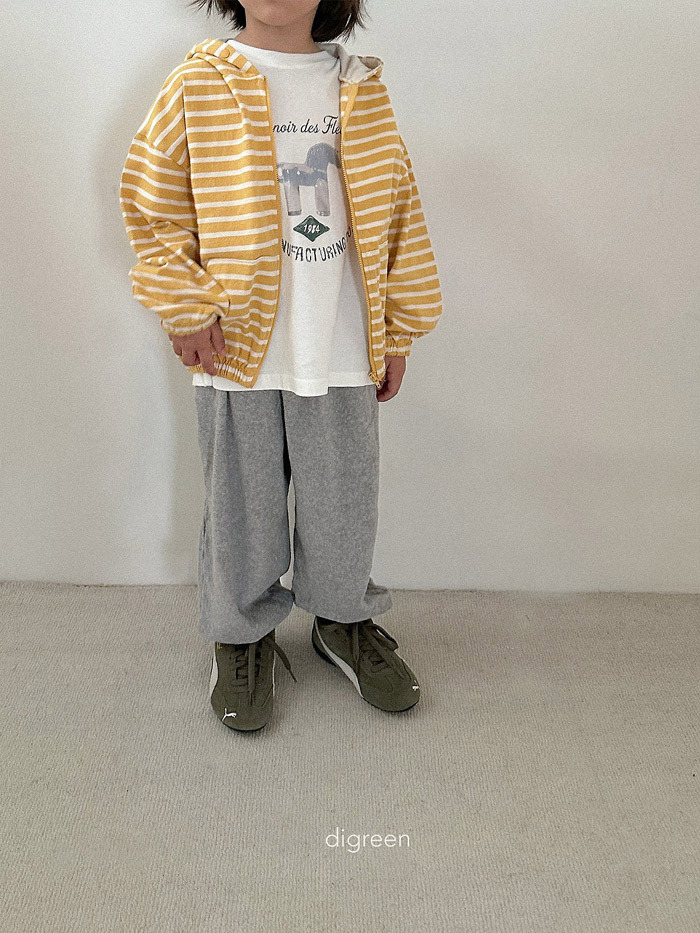 正韓秋Digreenkids 三色條紋連帽外套