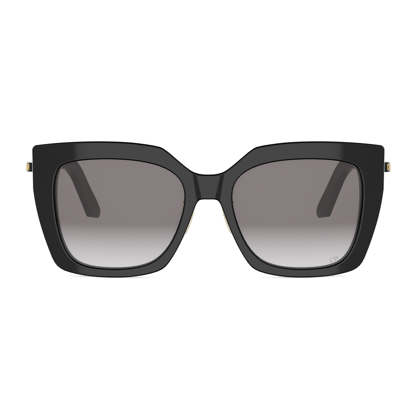 Dior - CDIOR S5F／10A1