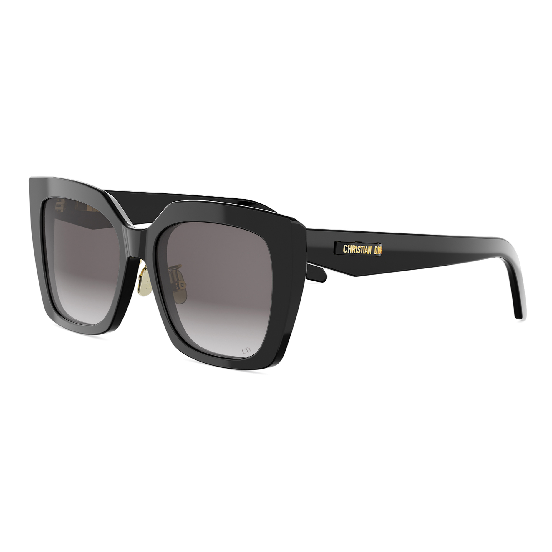Dior - CDIOR S5F／10A1