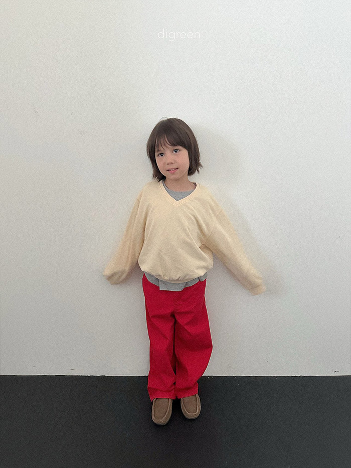 正韓秋Digreenkids 三色挺版直筒褲