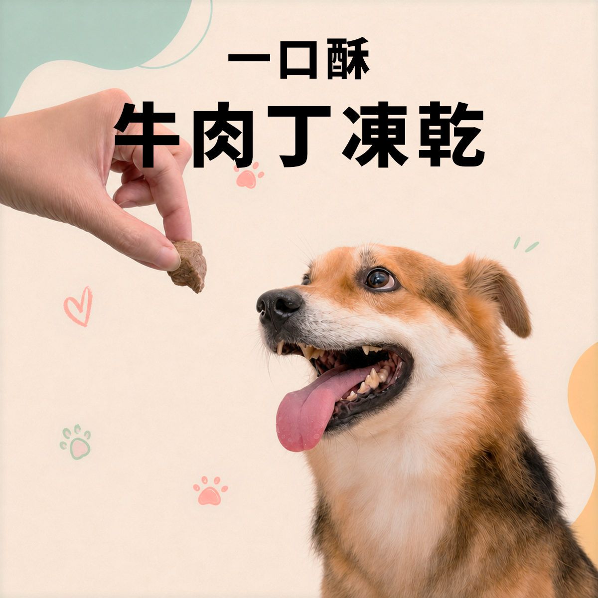 卡尼牛肉丁凍乾 牛肉寵物零食 貓狗適用