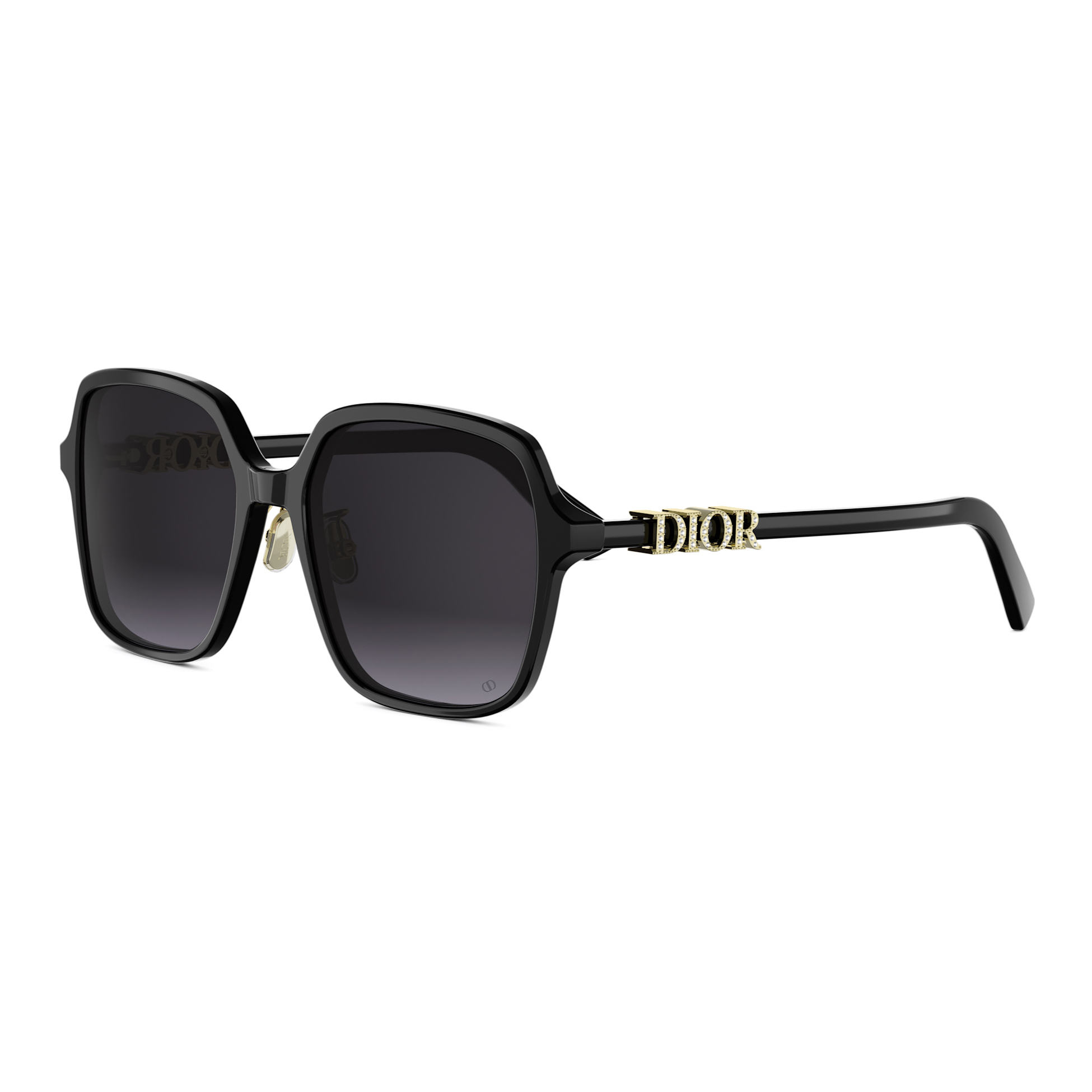 Dior - DIORTREASURE S1F／10A1