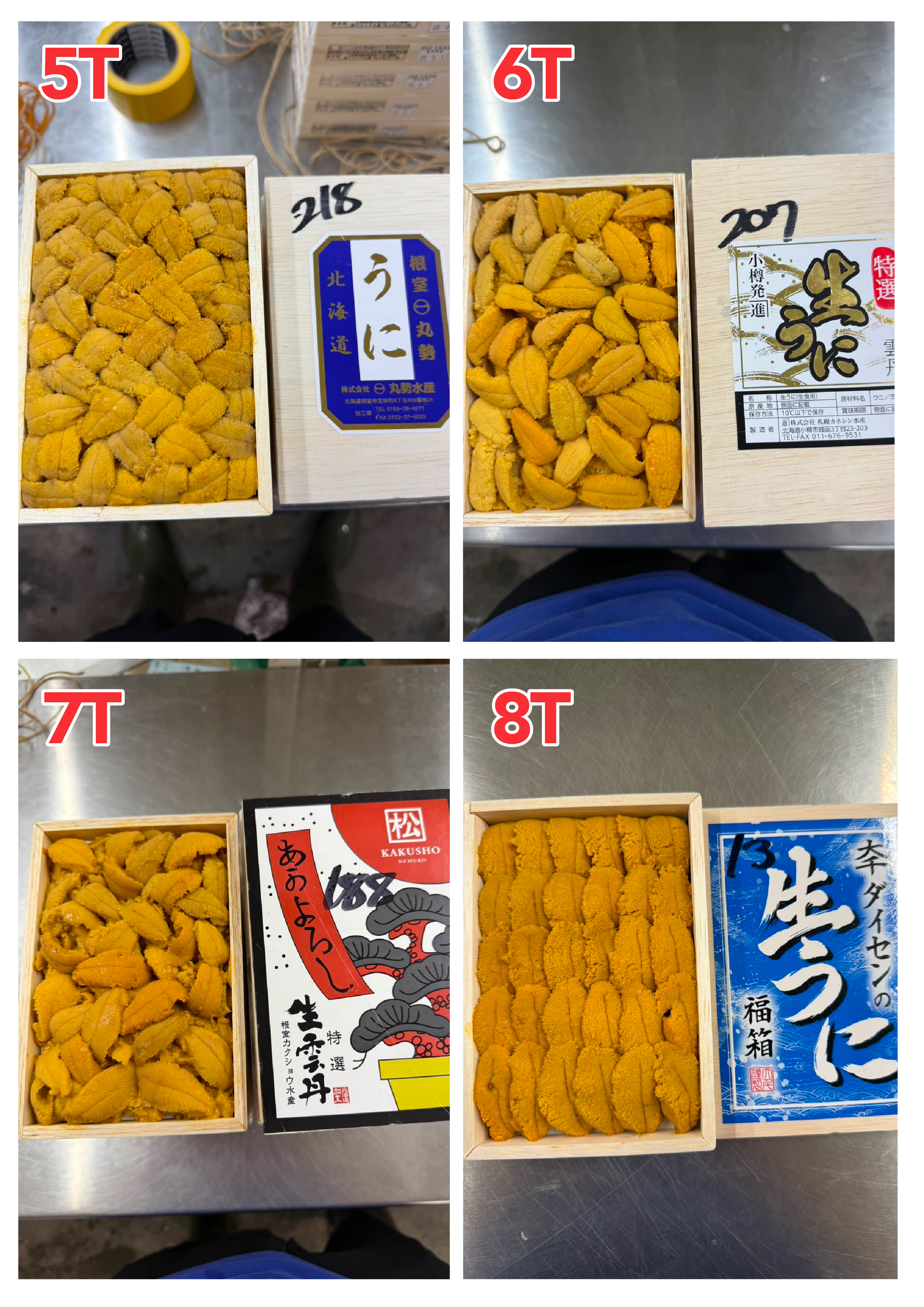 【指定海膽推薦】每天更新 (限即日落單, 翌日送)