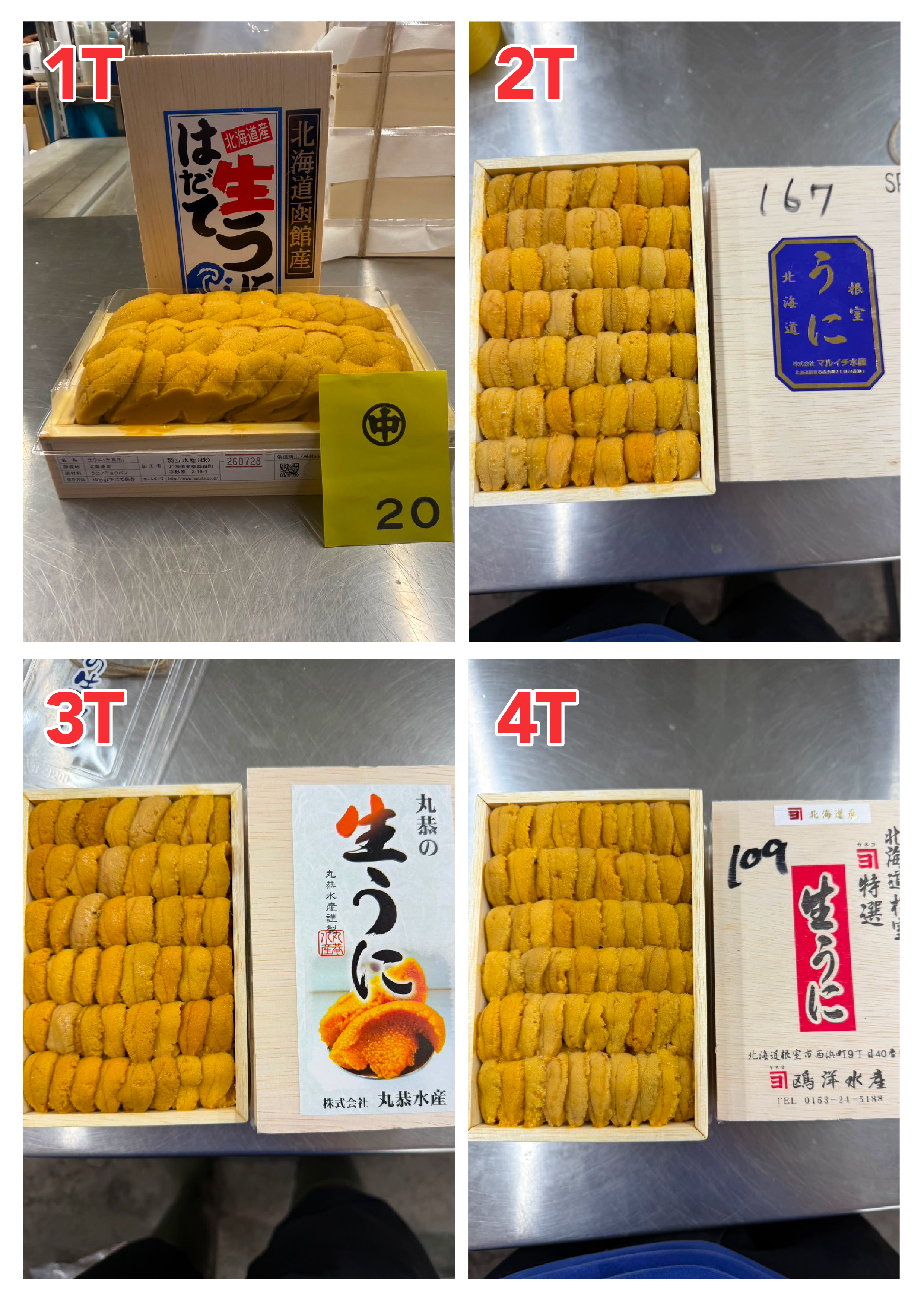 【指定海膽推薦】每天更新 (限即日落單, 翌日送)
