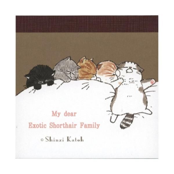 Shinzi Katoh｜My dear cats 睡覺貓 便簽本