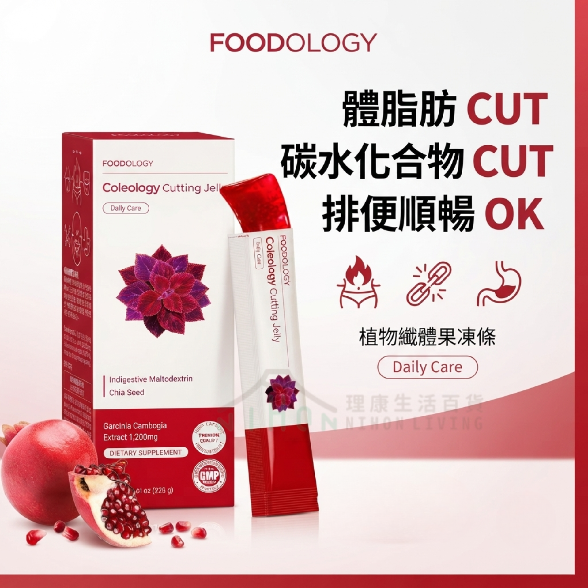 FOODOLOGY - Coleology Cutting Jelly 25g x 10 sticks