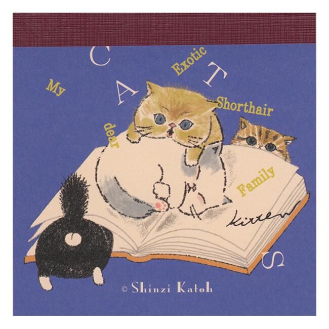 Shinzi Katoh｜My dear Exotic Shorthair Family 讀書貓 便簽本