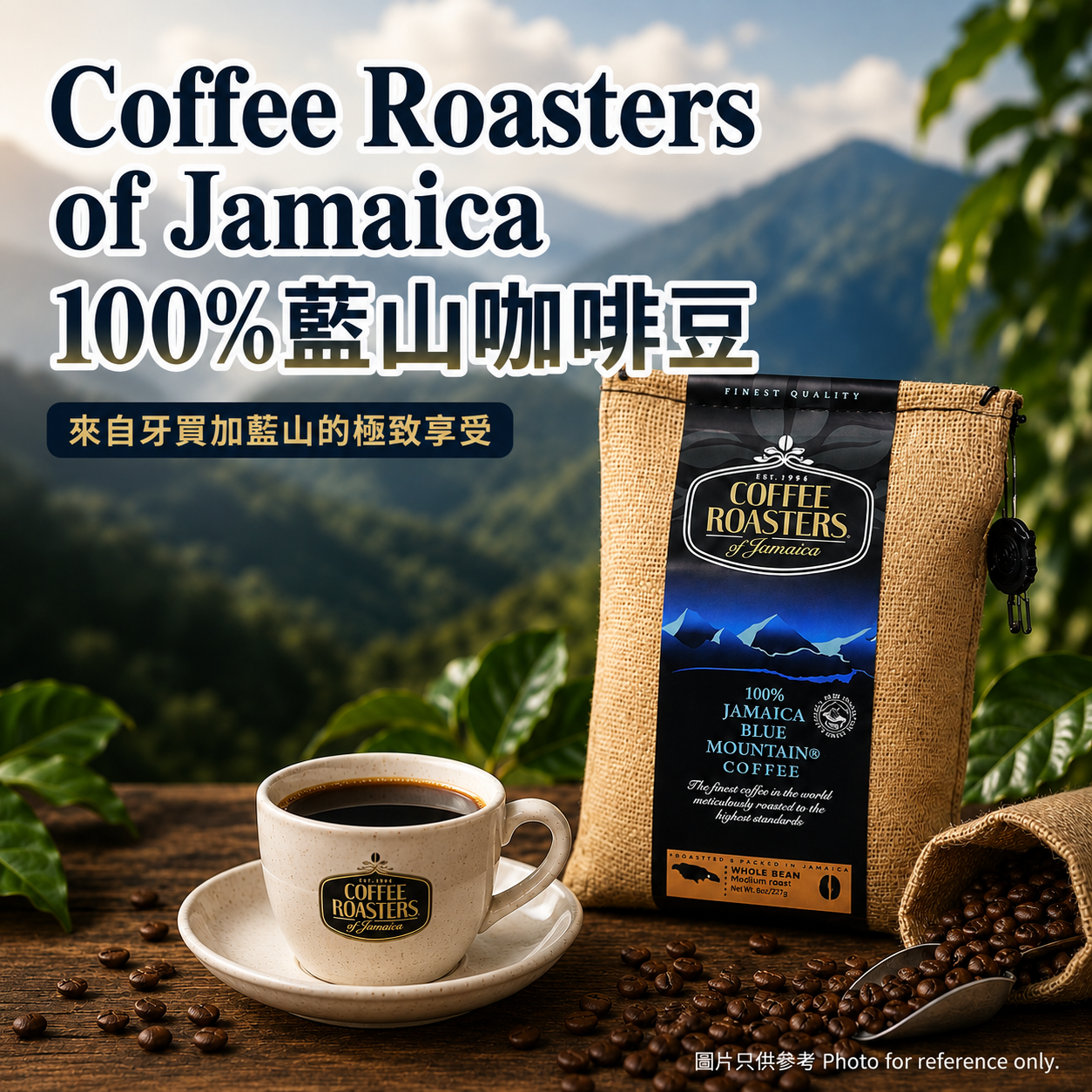 一包即享免運費! Coffee Roasters of Jamaica 100%藍山咖啡豆 新鮮牙買加空運到港 227g(best by May 2027)