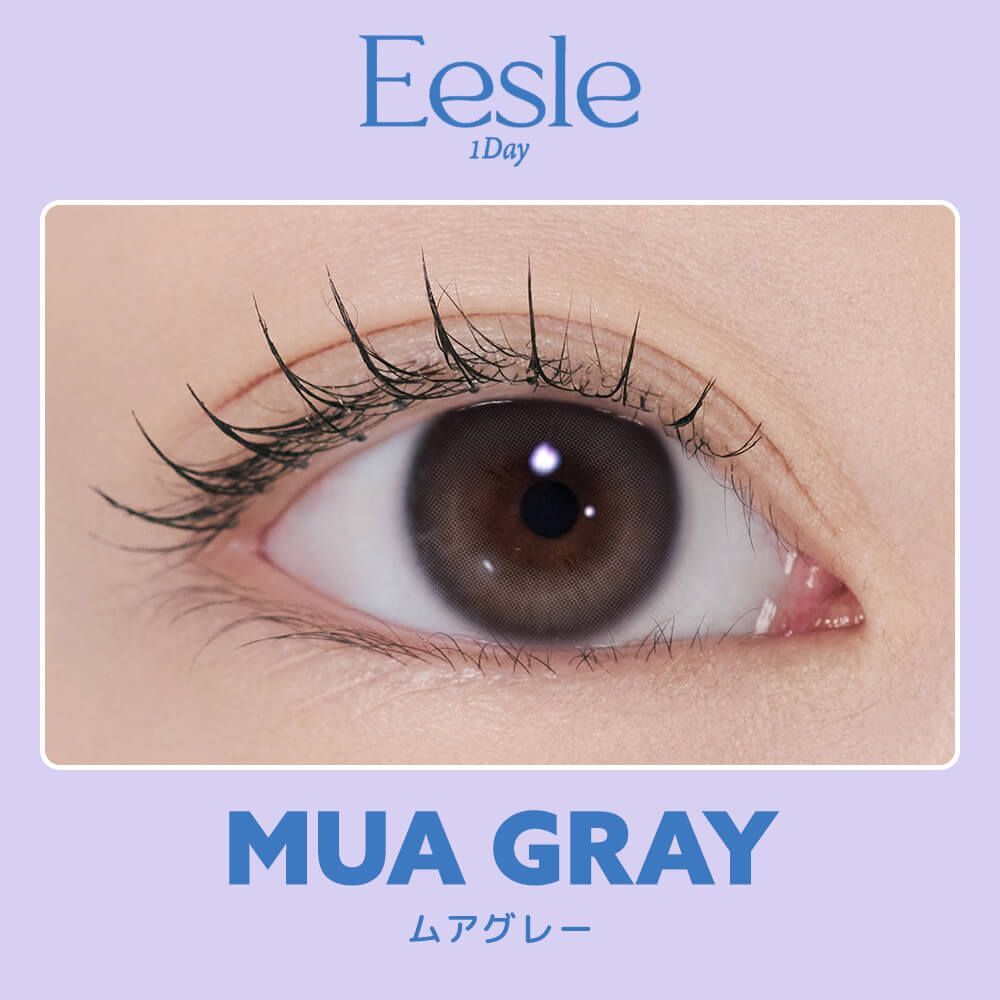 [日版]I-DOL Eesle 1 Day (Mua Gray)(10片)