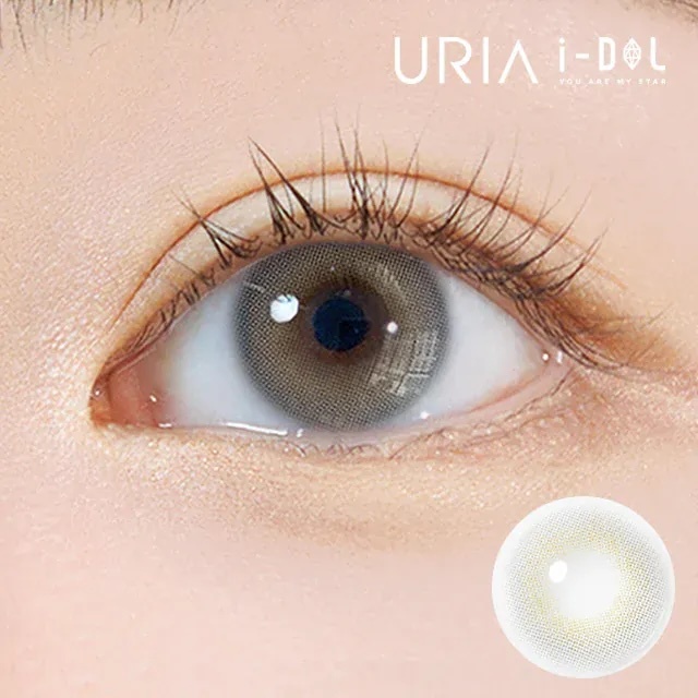 I-Dol Euroring 1 day (Mineral Gray)(10片)
