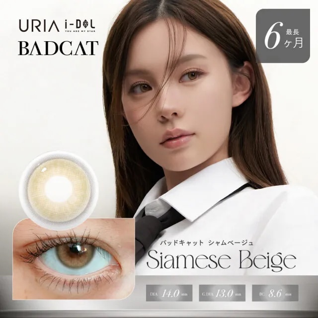 I-Dol Bad Cat 6-Monthly (Siamese Beige)(1P)