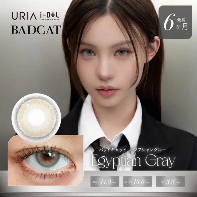 I-Dol Bad Cat 6-Monthly (Egyptian Gray)(1P)