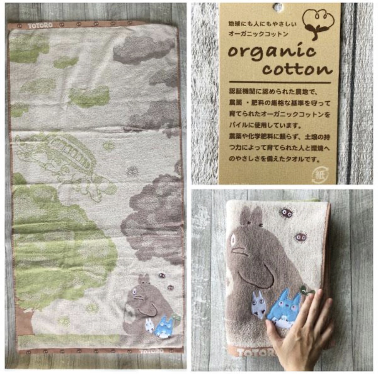 JP 龍貓 刺繡軟柔軟吸水大浴巾 森林款 9192 TK260723