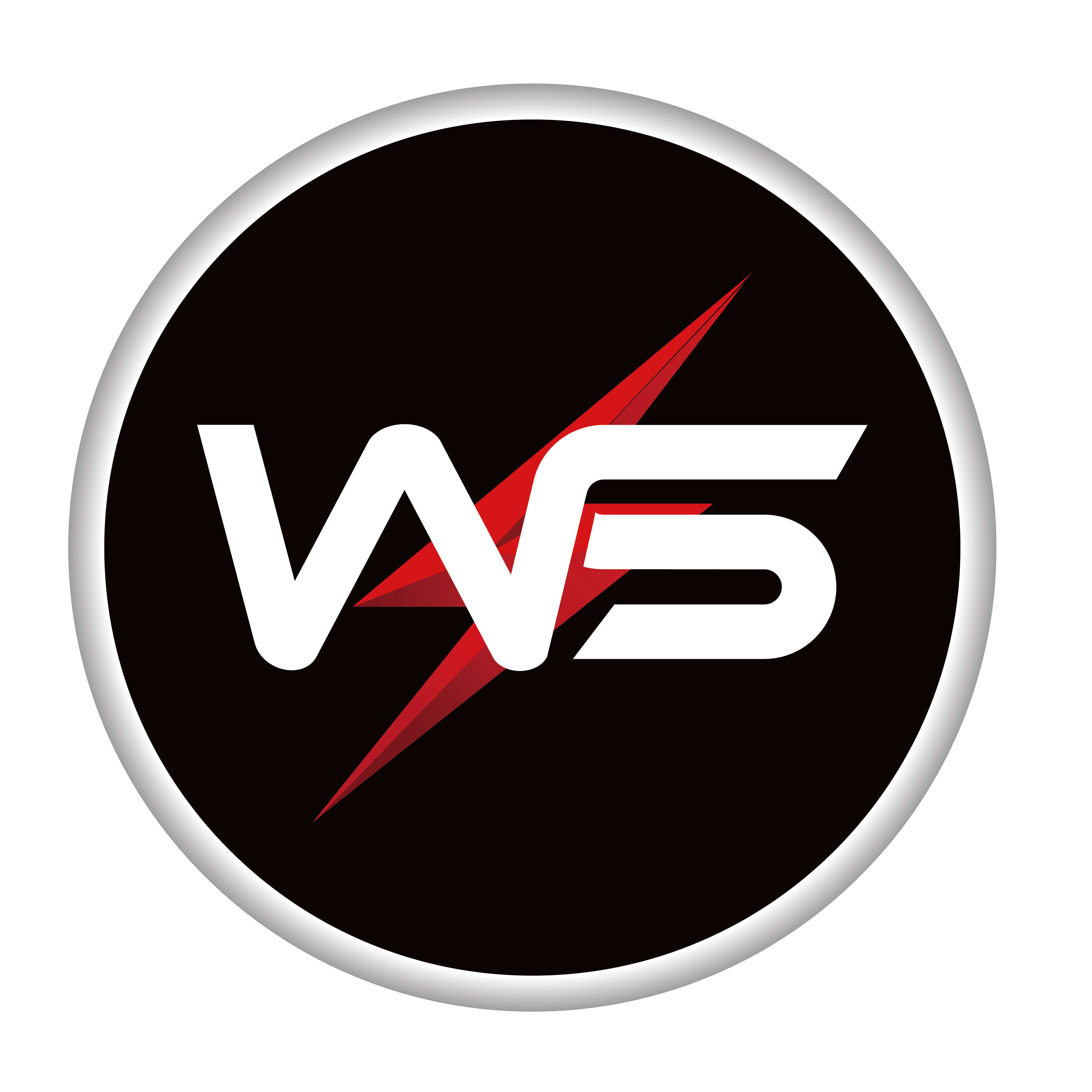 威勝電動車 LOGO