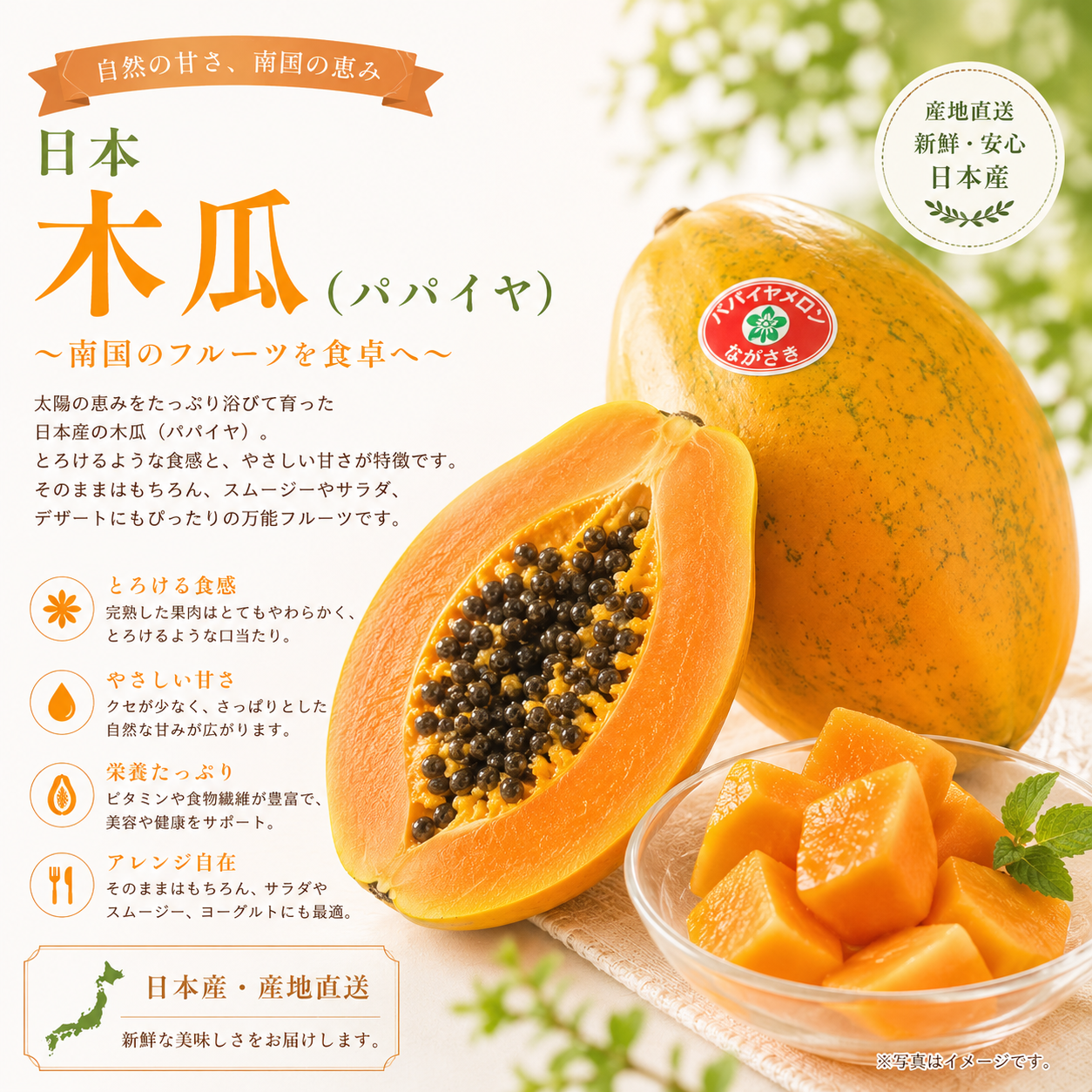 日本宮崎縣木瓜(450-500G)-1個