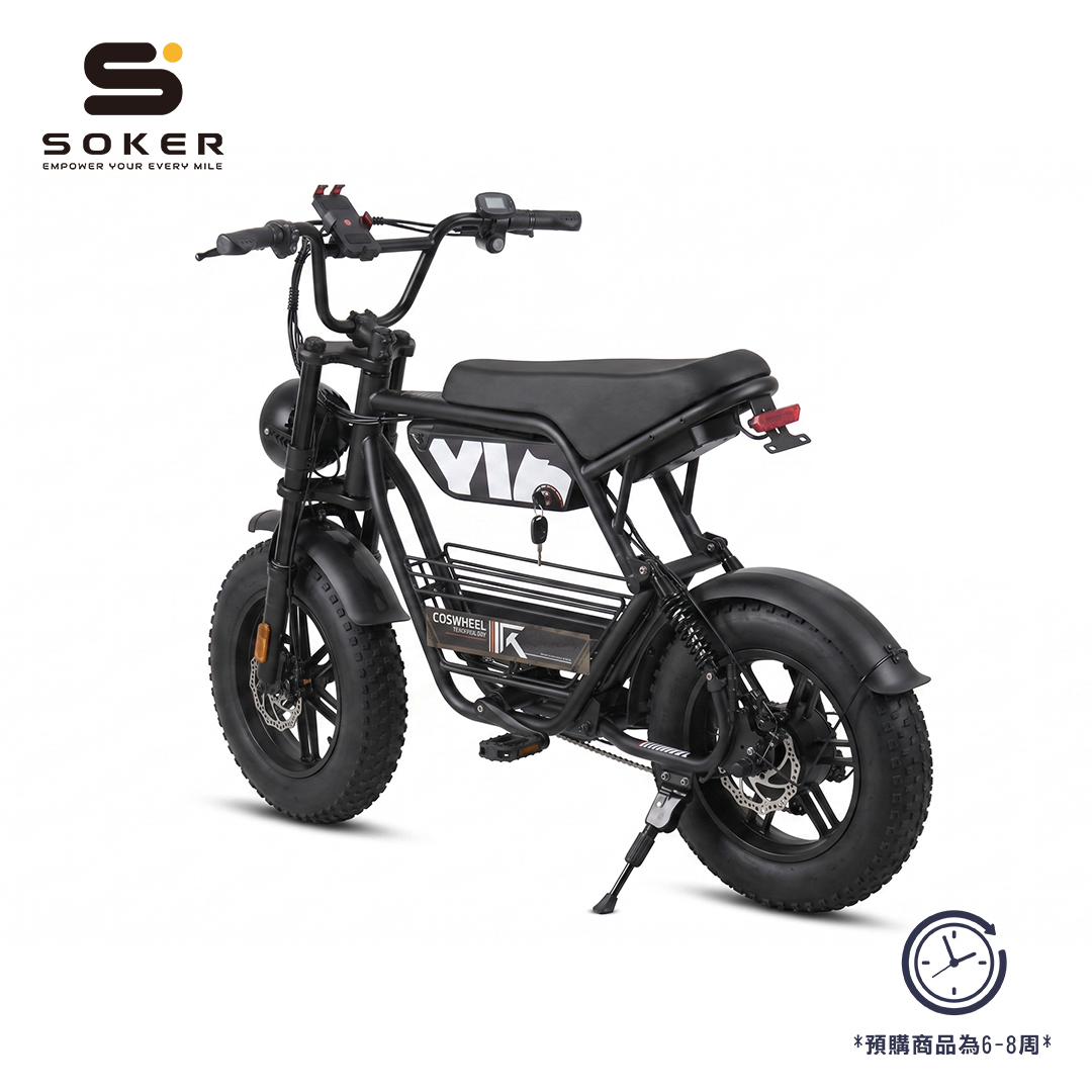 COSWHEEL 電動輔助自行車 NEW  Y16｜  48V500W｜ 15Ah ｜2025獨家產品｜