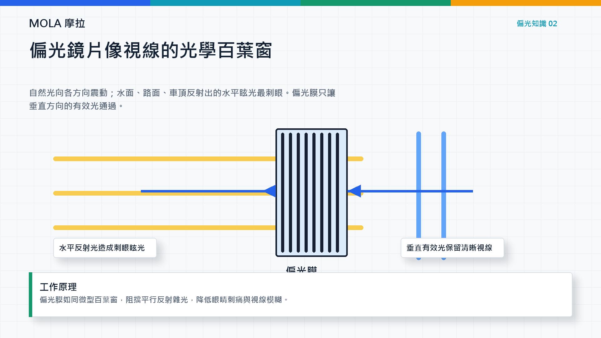 戴偏光眼鏡看到彩虹光是瑕疵?光學專家揭密「真偏光」原理|MOLA 摩拉
