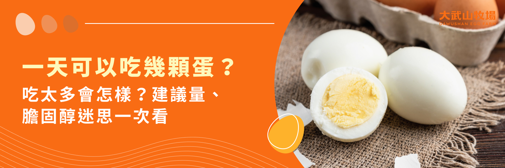 一天可以吃幾顆蛋？吃太多會怎樣？建議量、膽固醇迷思一次看