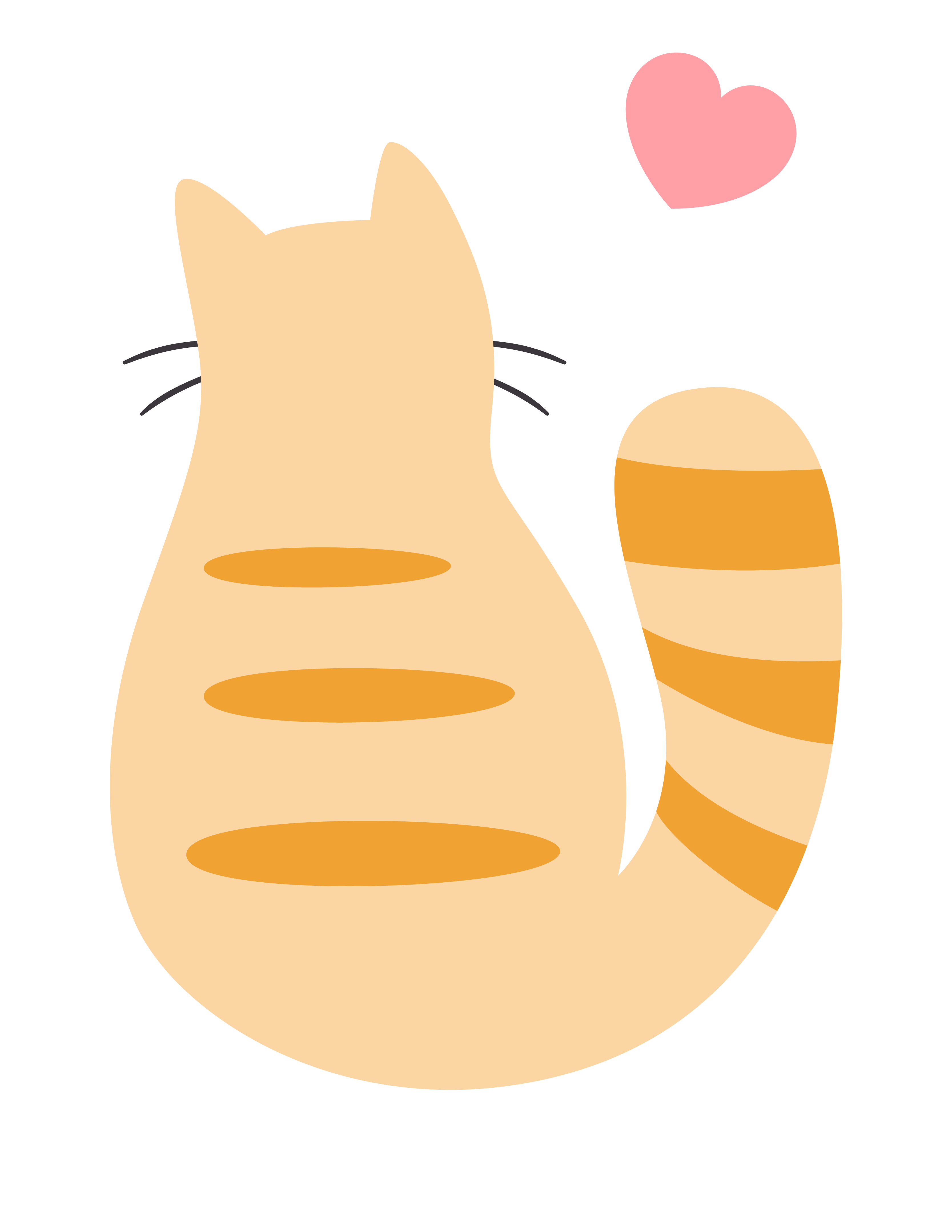 橘貓背影