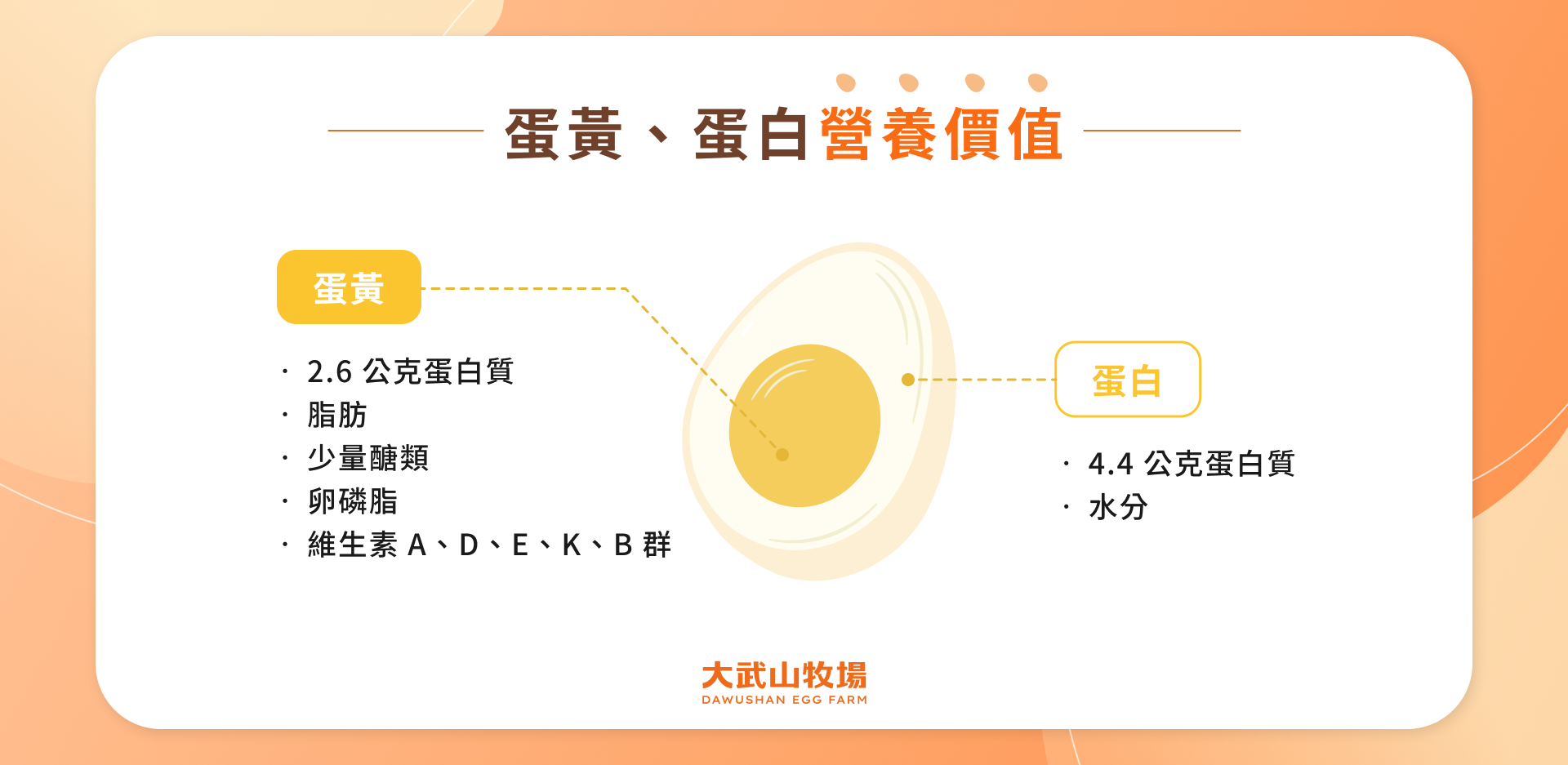 蛋黃、蛋白營養價值