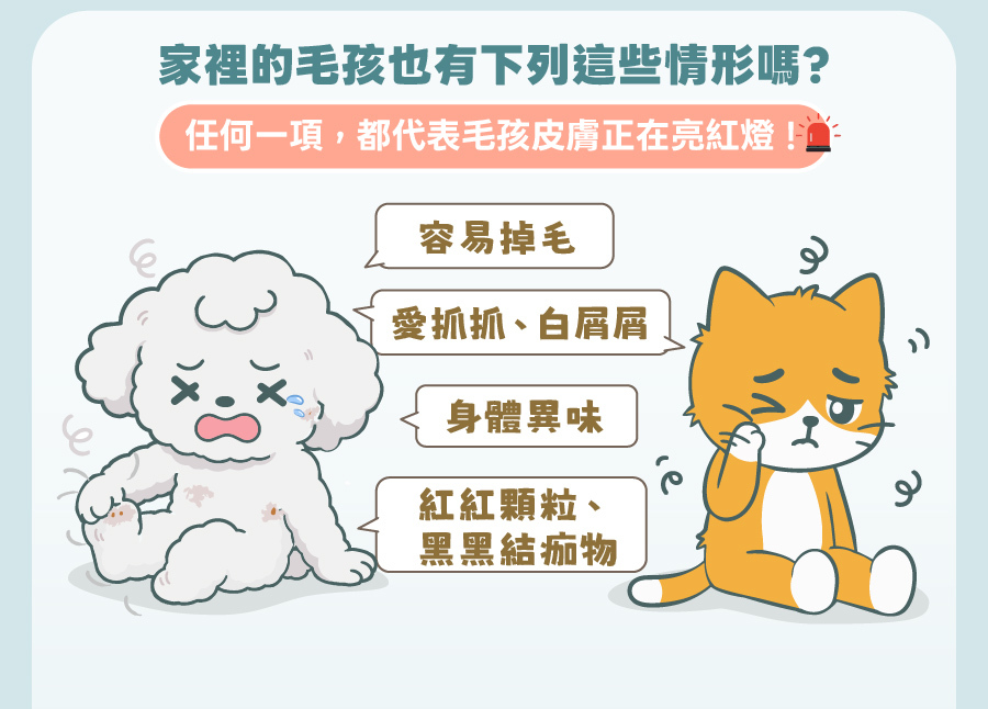 歸毛家族列出犬貓常見皮膚問題，包含容易掉毛、抓癢白屑、身體異味與紅顆粒結痂，提醒毛拔麻注意肌膚警訊。