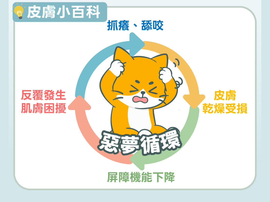 歸毛家族皮膚小百科，呈現毛孩抓癢舔咬導致肌膚乾燥受損、屏障下降與反覆問題的惡夢循環。