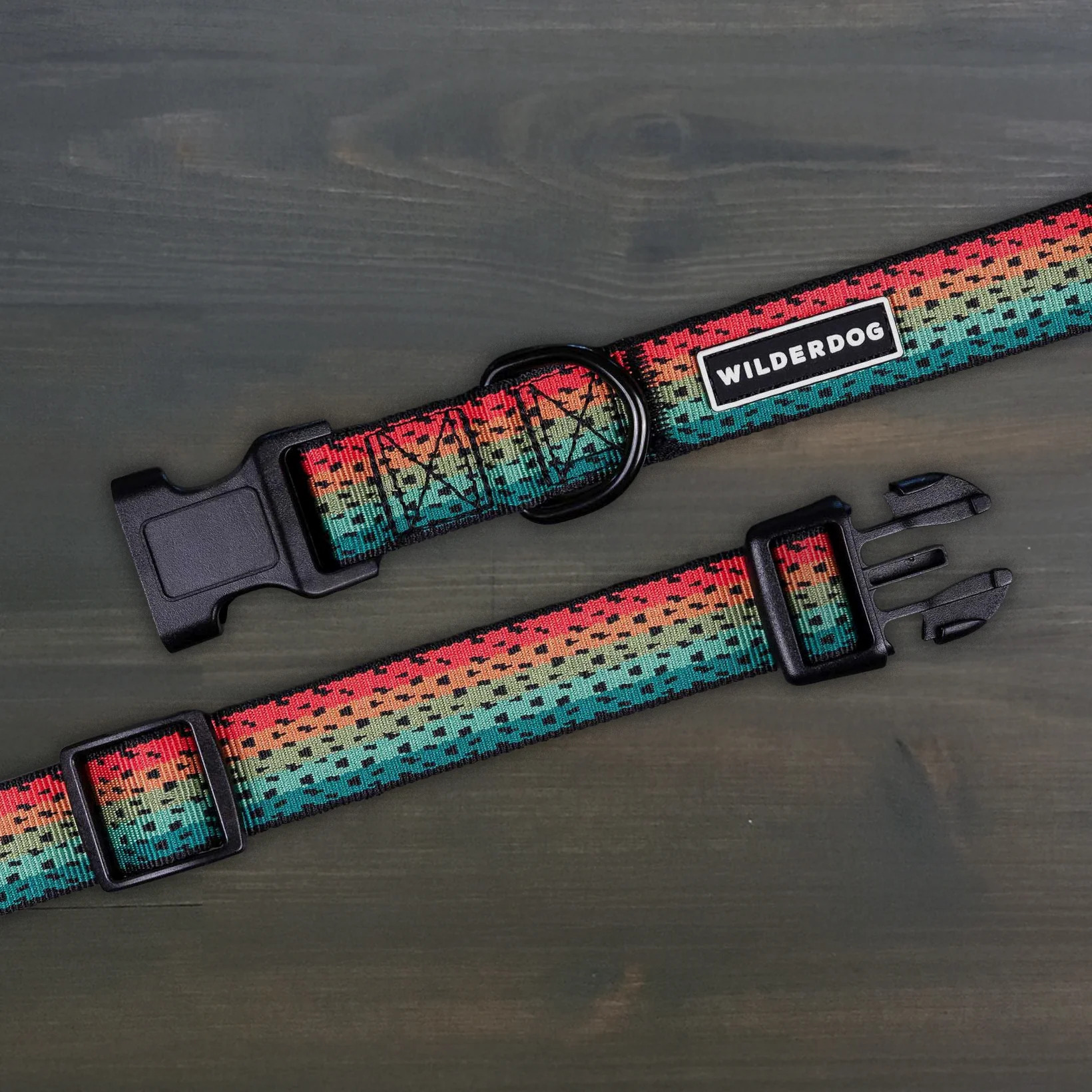 Wilderdog｜ULTRALIGHT 超輕量項圈（TROUT）