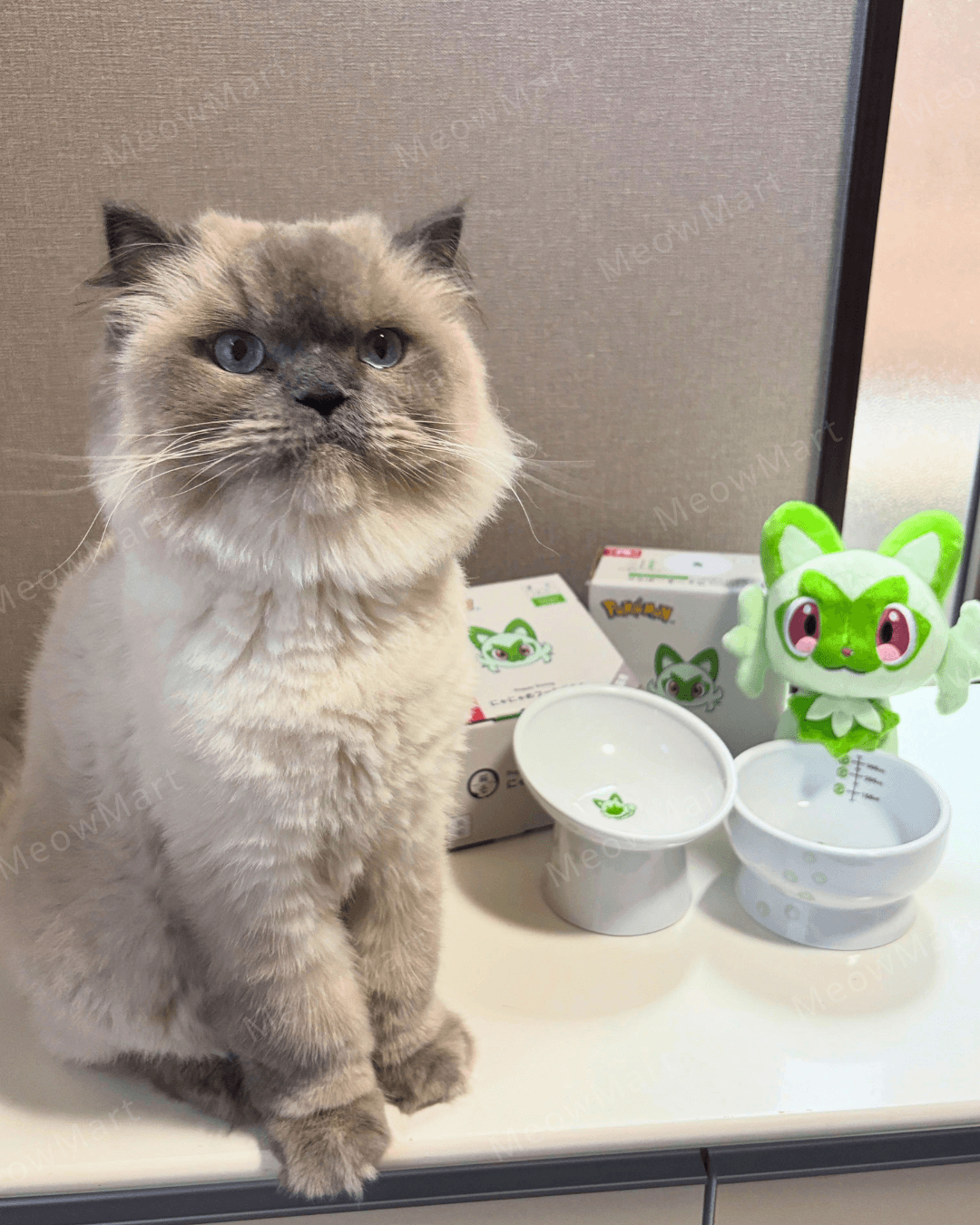 Pokémon x necoichi 新葉喵斜口高腳食物碗