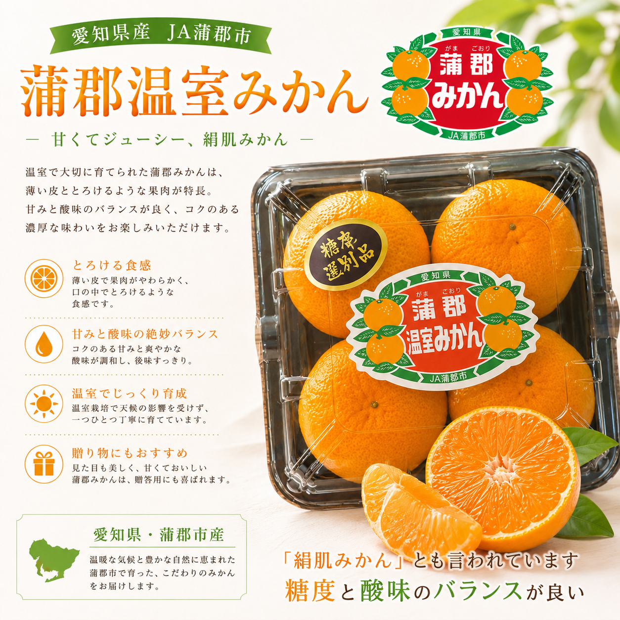 日本愛知縣蒲郡溫室蜜柑(4個)-1包