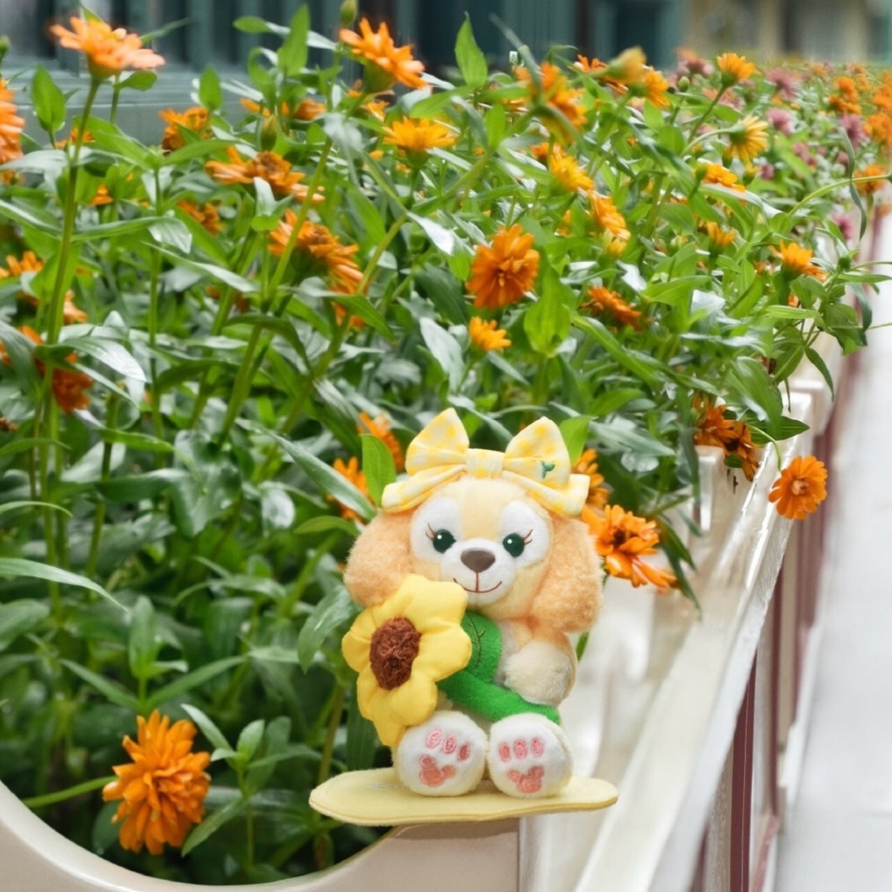 達菲 Duffy 與好友 花花世界系列 可琦安 餅乾 CookieAnn 造型 磁鐵 坐肩 絨毛 娃娃 公仔 -香港迪士尼樂園