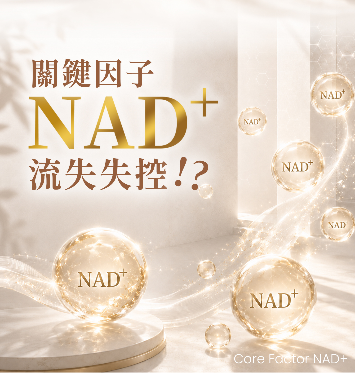 SASANA 品牌理念介紹，專為追求質感生活的都會族群打造的高階極簡保健美學