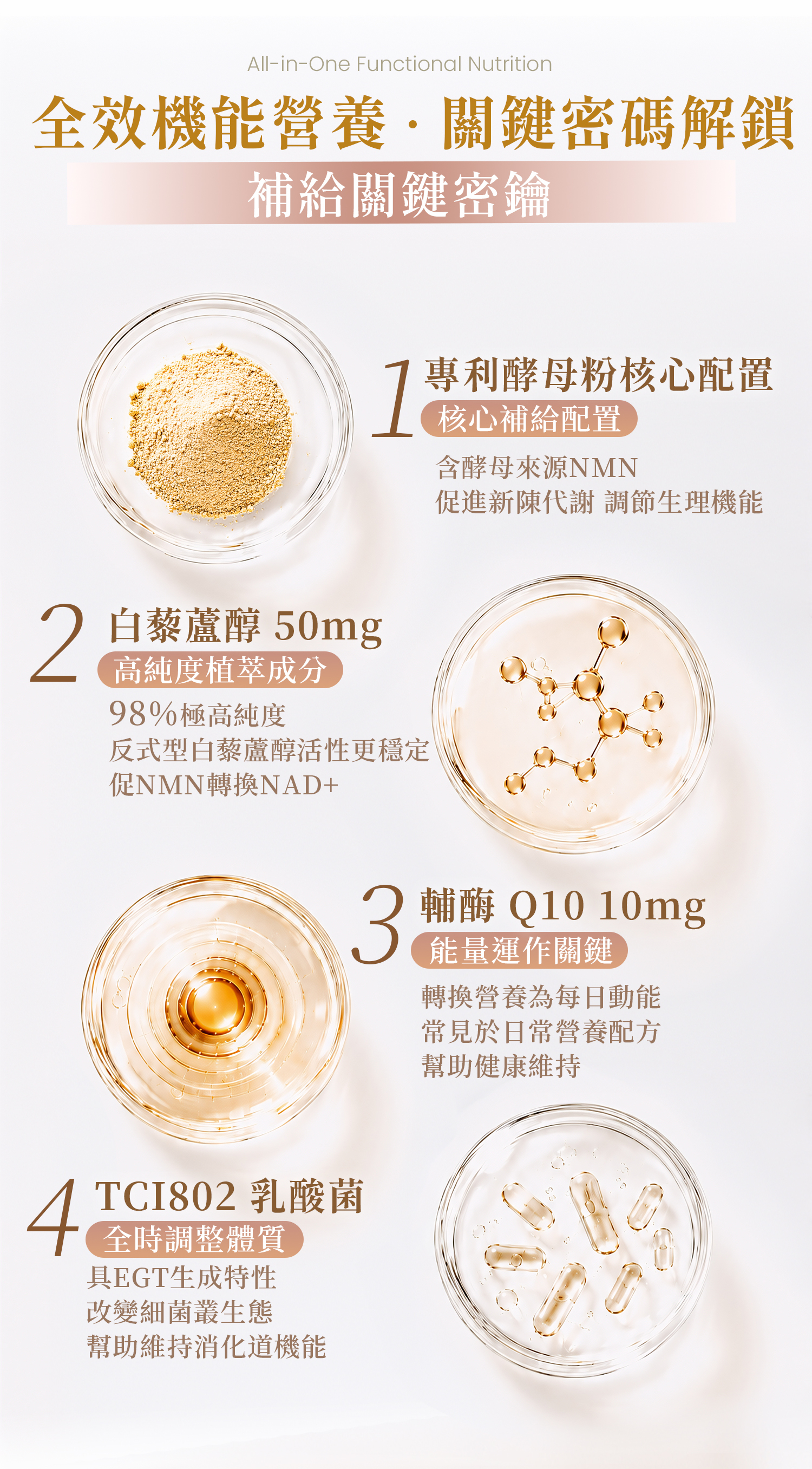 專利腸道益生菌介紹，透過建立健康消化道環境來提升整體保護力