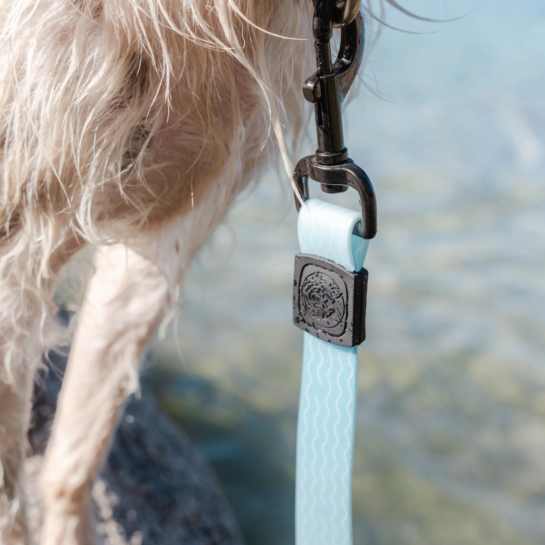 Wilderdog｜WATERPROOF 防水牽繩（SALTWATER）