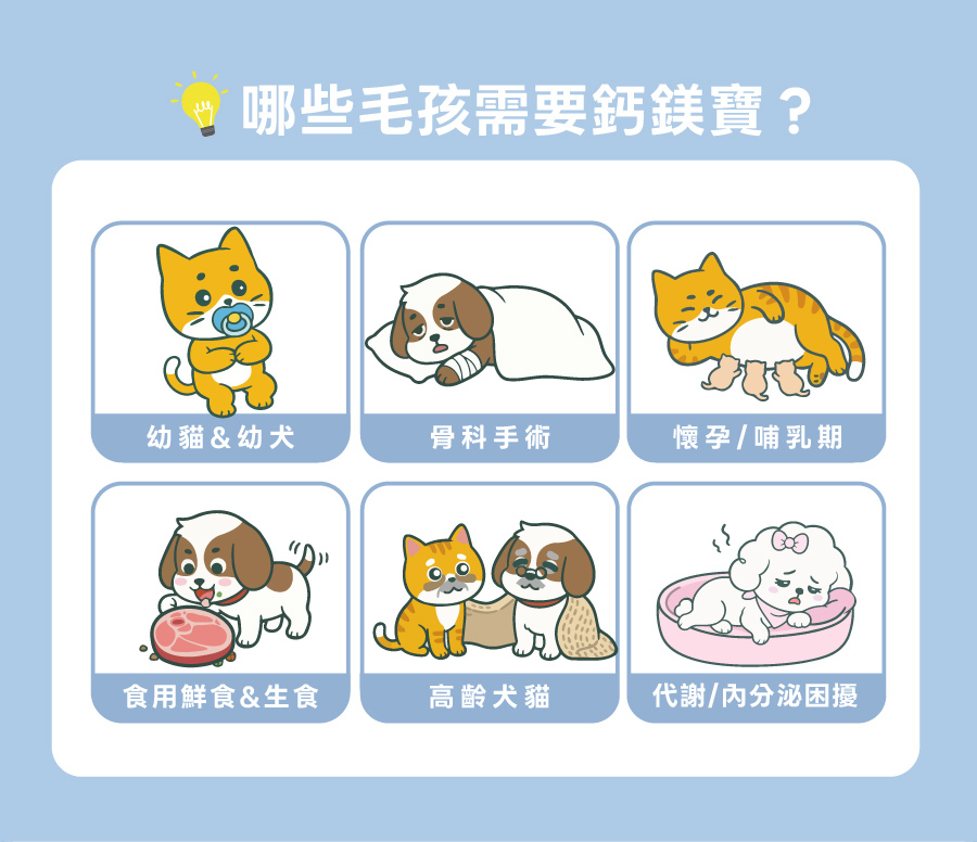 歸毛家族鈣鎂寶適合幼犬貓、高齡貓狗、懷孕哺乳及鮮食生食家庭,是全方位寵物補鈣推薦首 選。