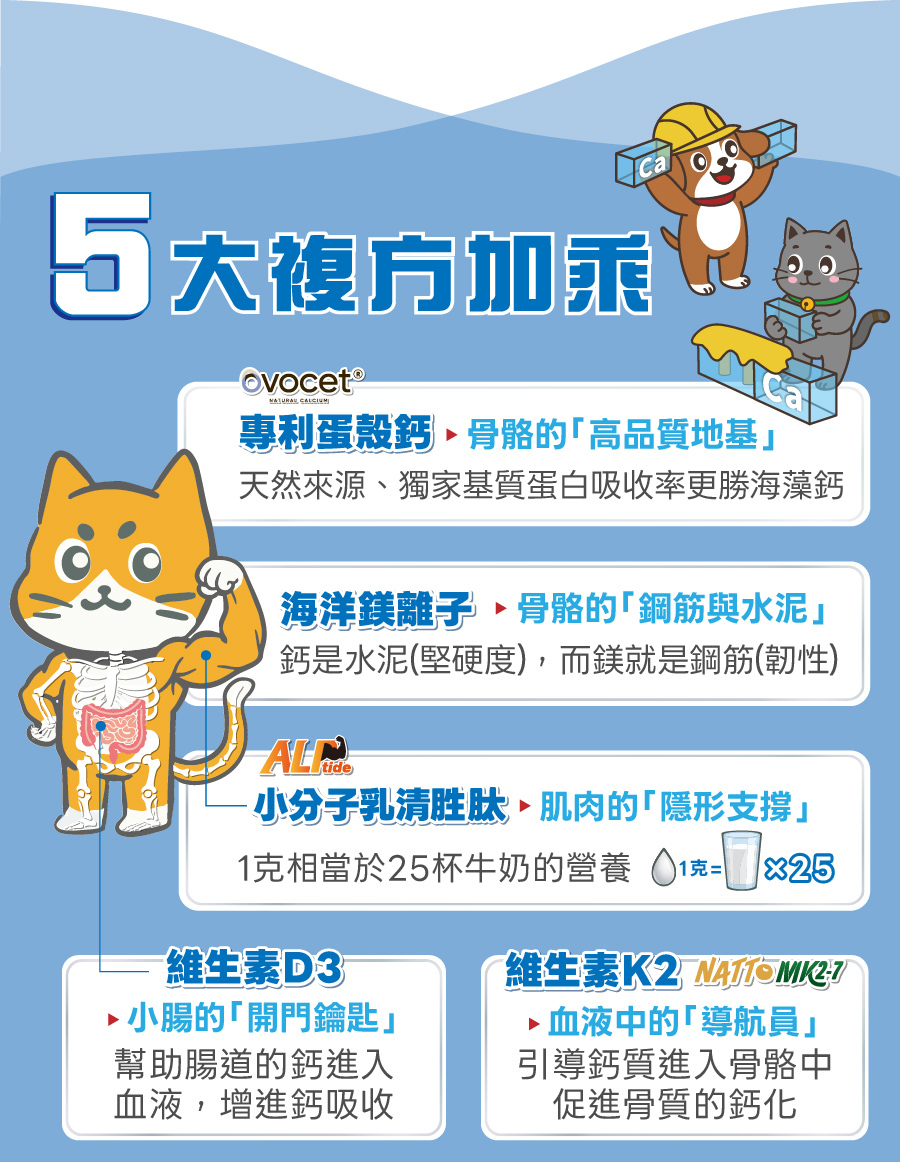 歸毛家族鈣鎂寶擁有5大黃金補鈣複方,專為高齡貓狗打造,能有效維持寵物關節活力與靈活行動力。