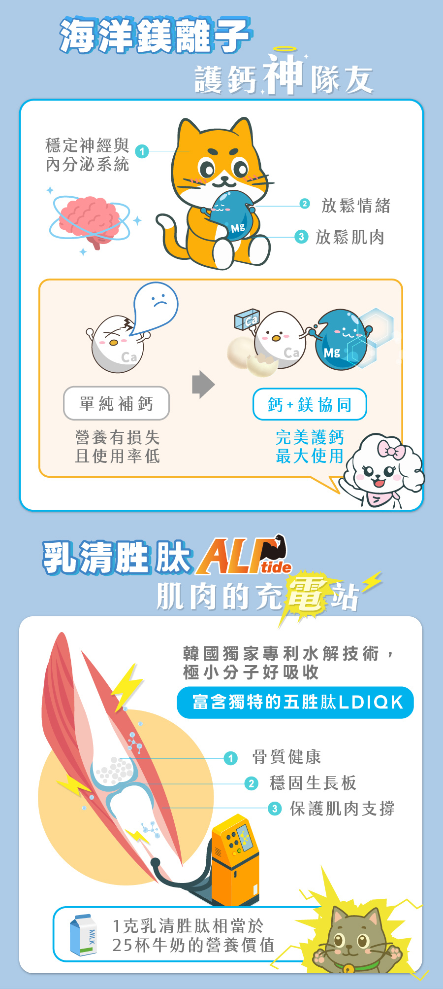 歸毛家族鈣鎂寶添加海洋鎂與專利乳清胜肽,透過鈣鎂協同高效吸收,全面守護犬貓肌肉與骨骼健康。